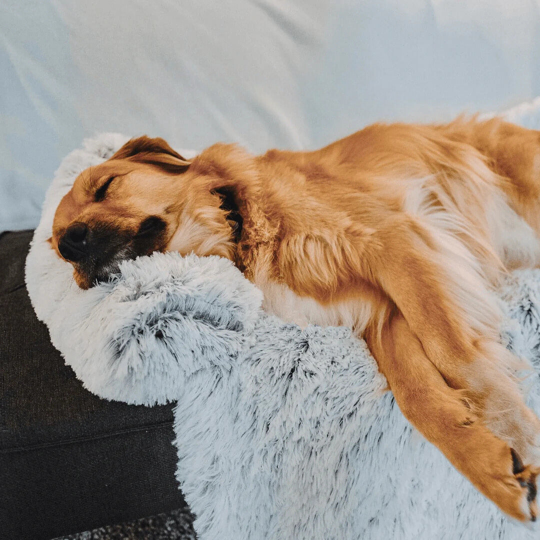 The Lounger Dog Bed