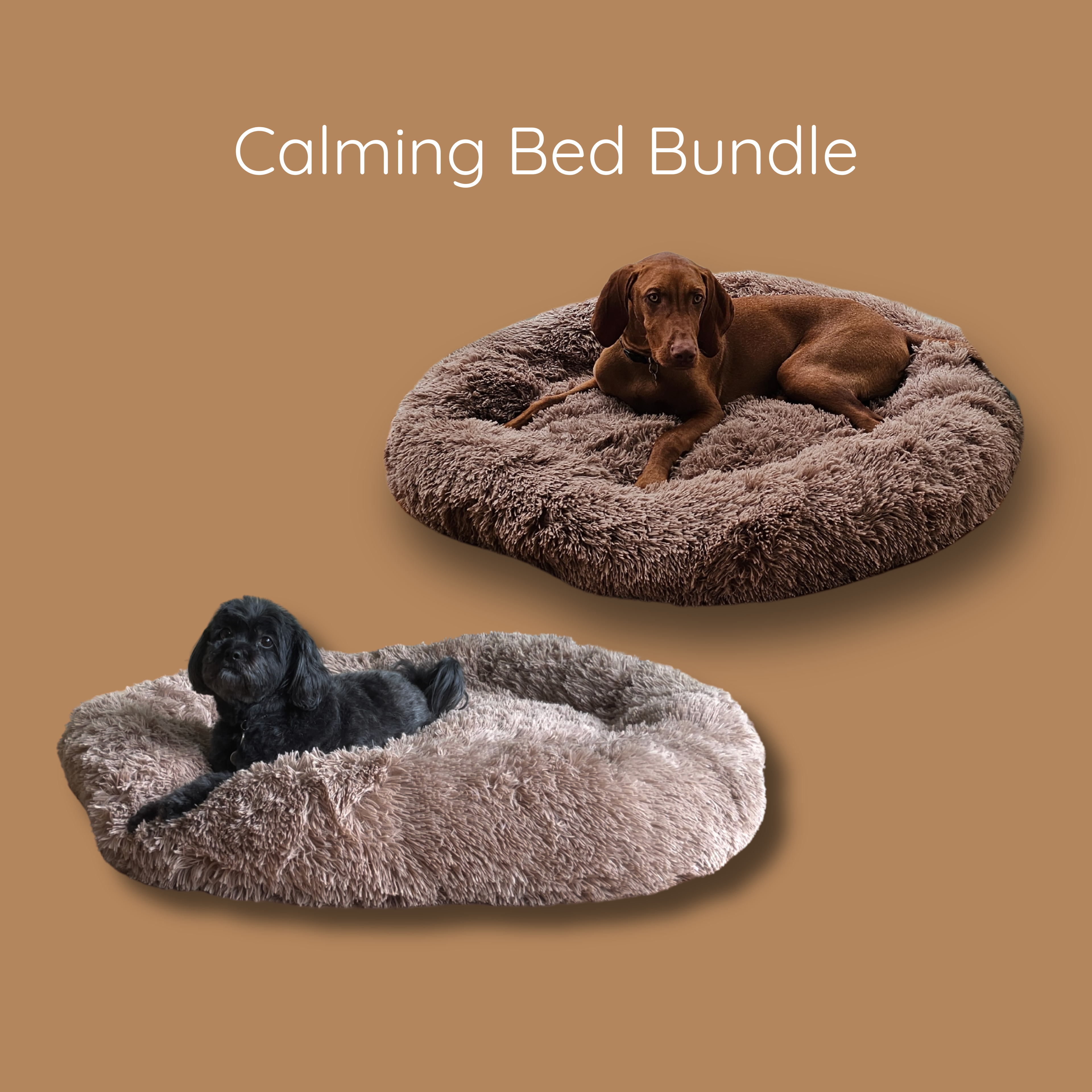 Calming Beds Bundle