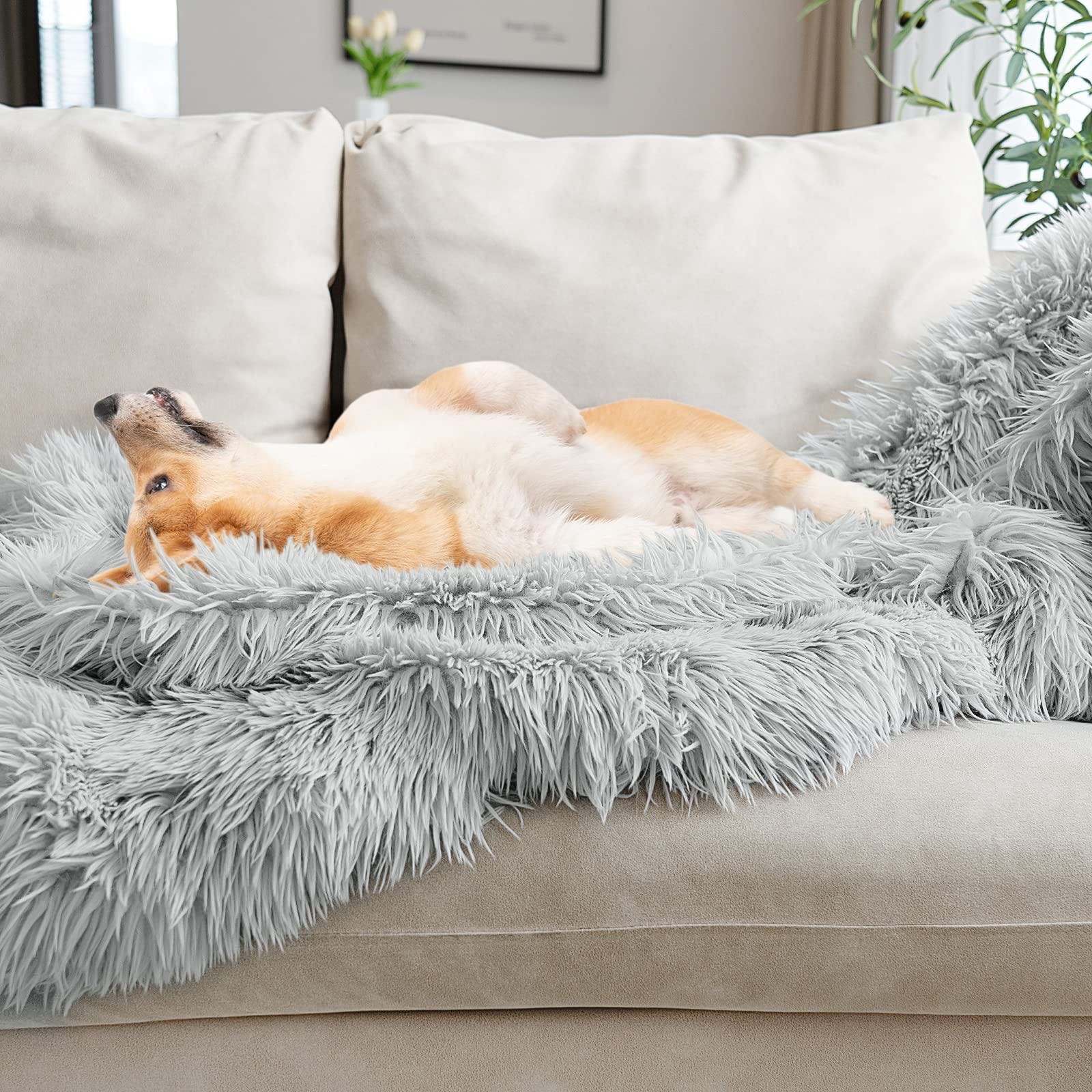 The Pawfect Dog Throw