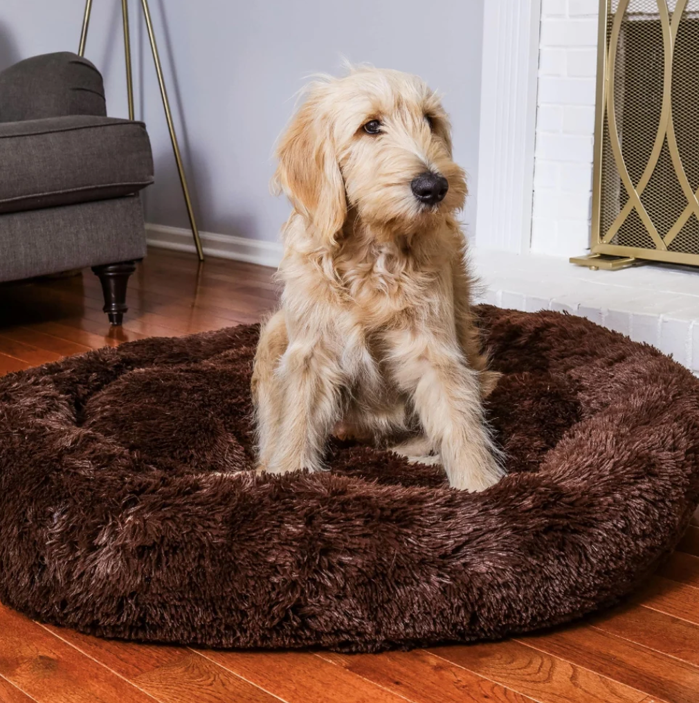 The Dreamy Dog Bed