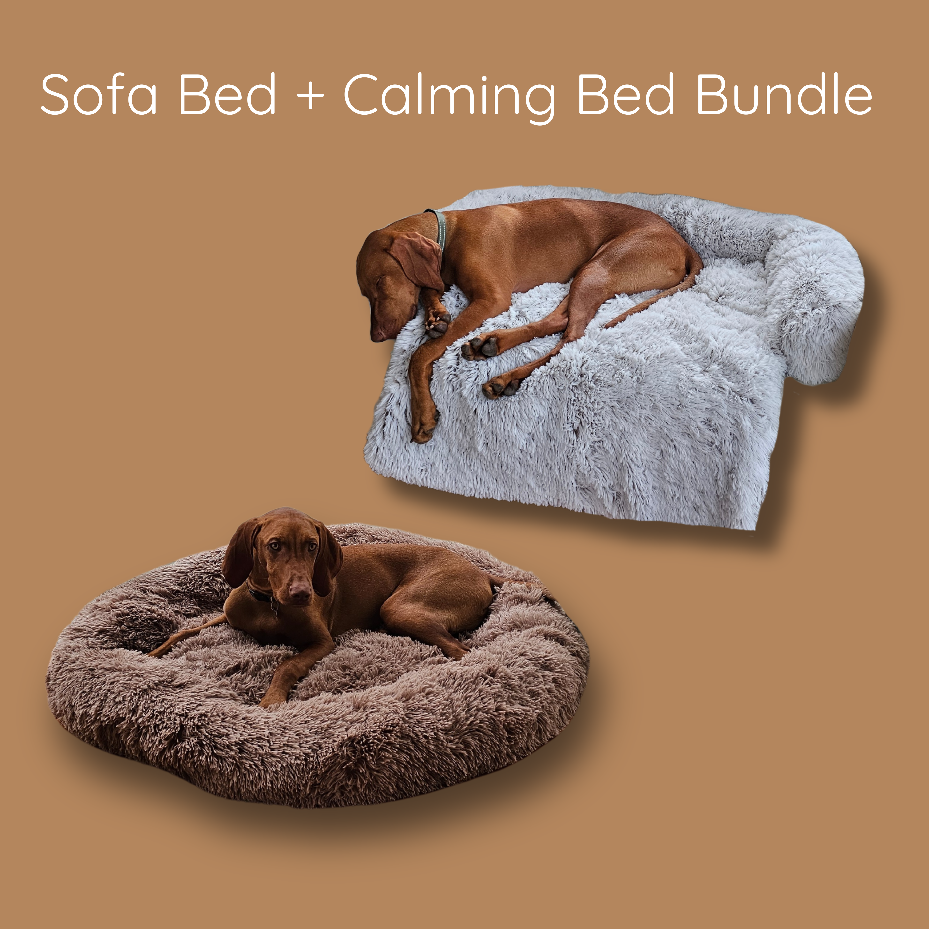 Sofa Bed + Calming Bed Bundle