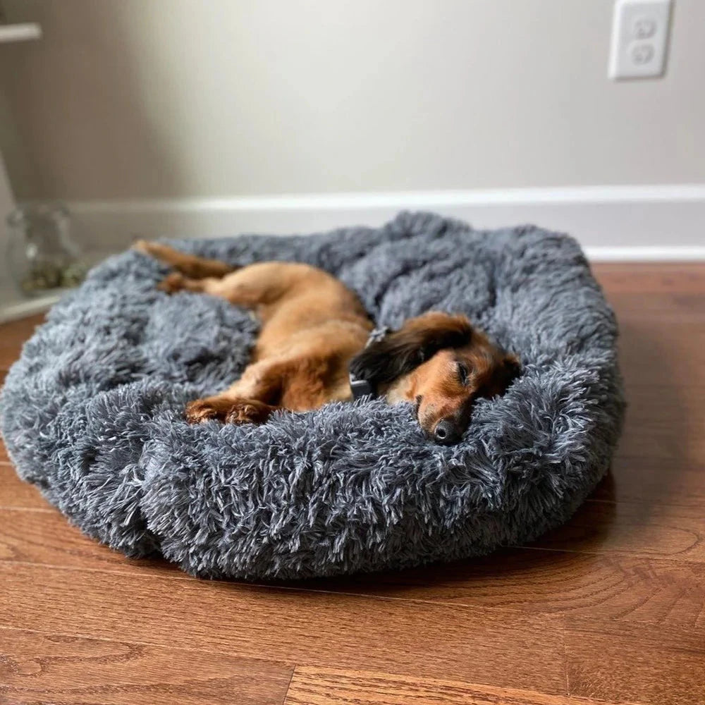 The Dreamy Dog Bed