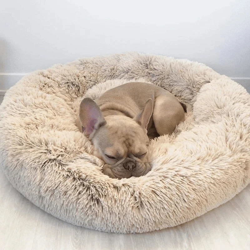 The Dreamy Dog Bed