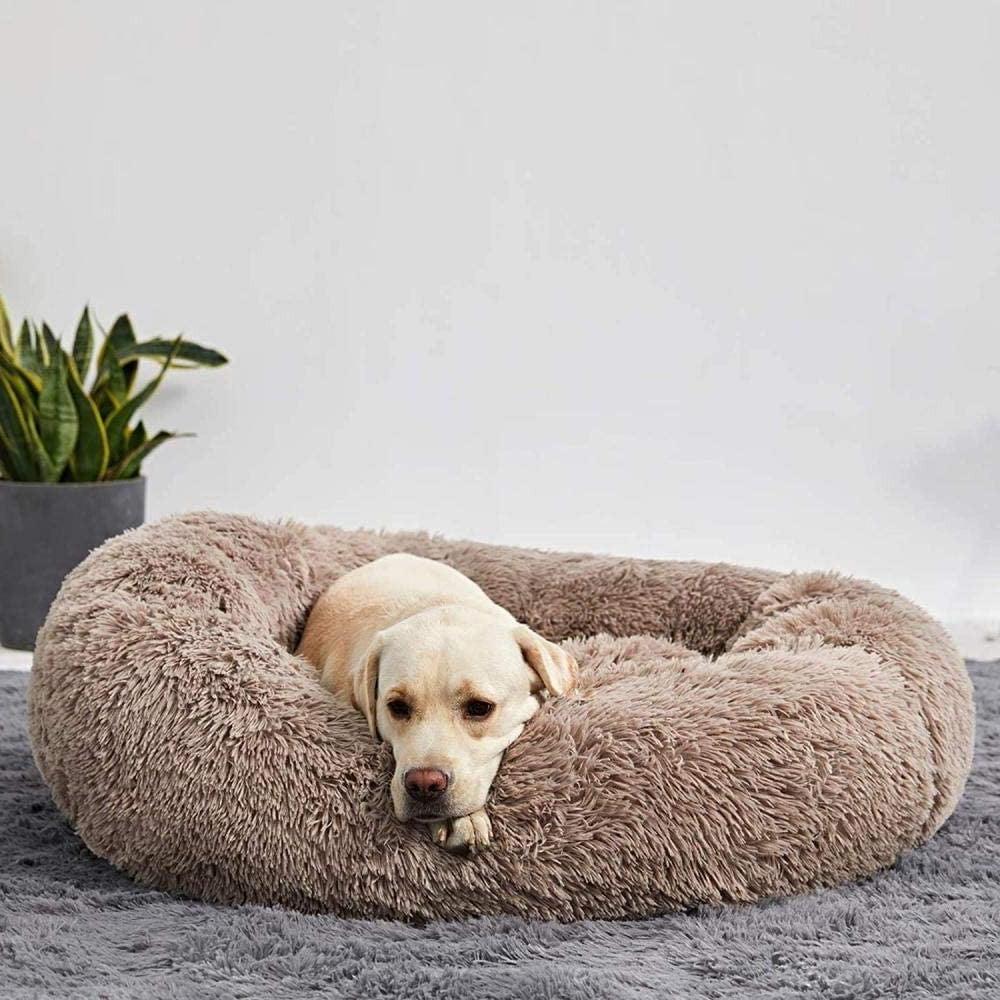 The Dreamy Dog Bed