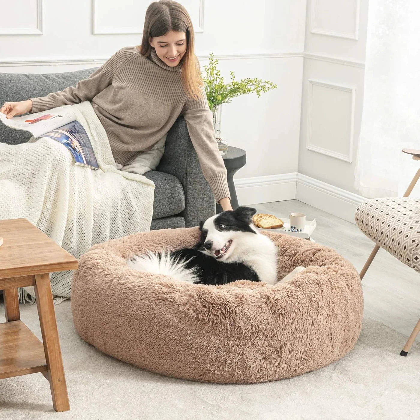 The Dreamy Dog Bed