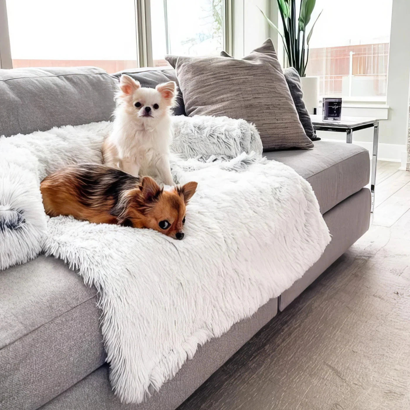 The Lounger Dog Bed