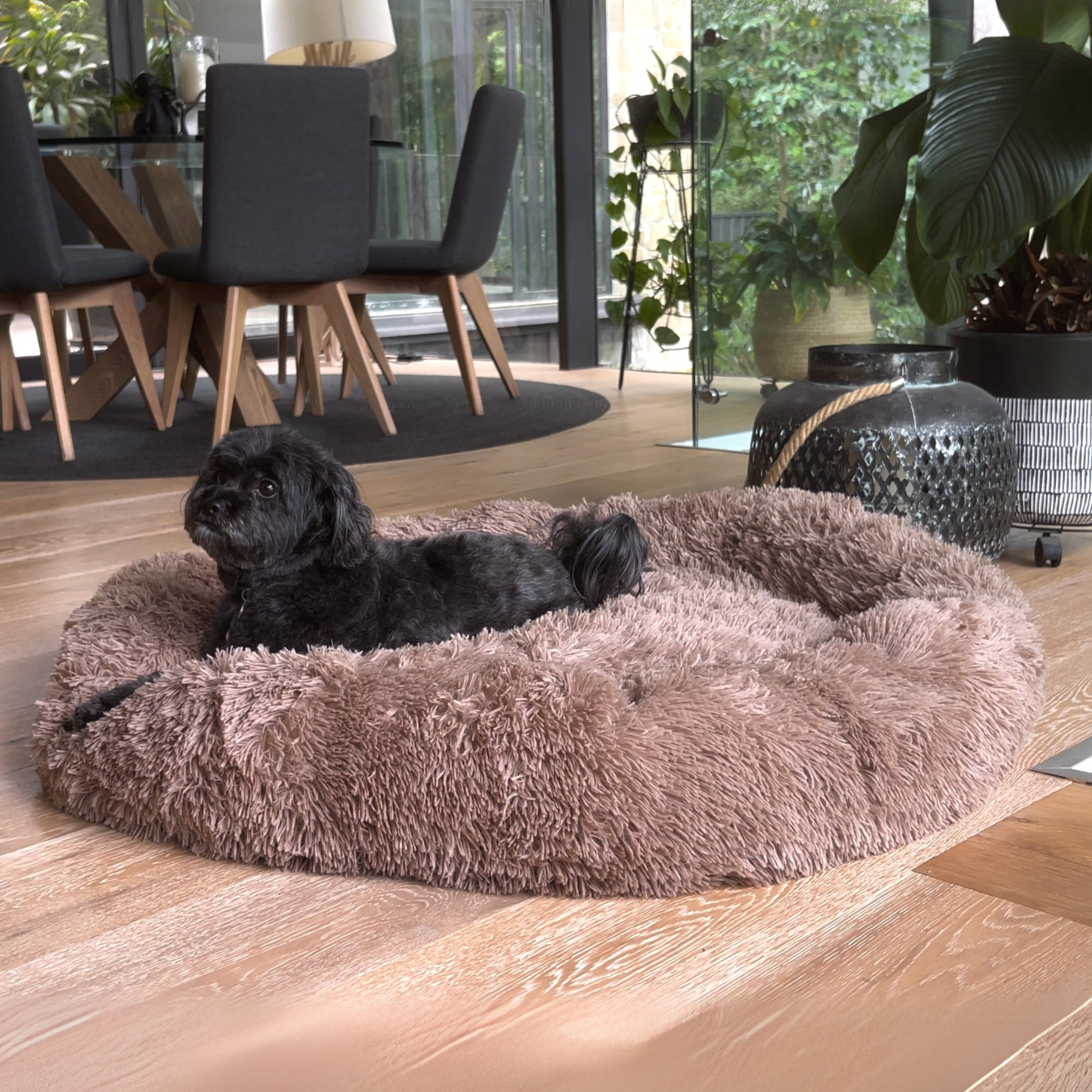 Premium Calming Dog Beds