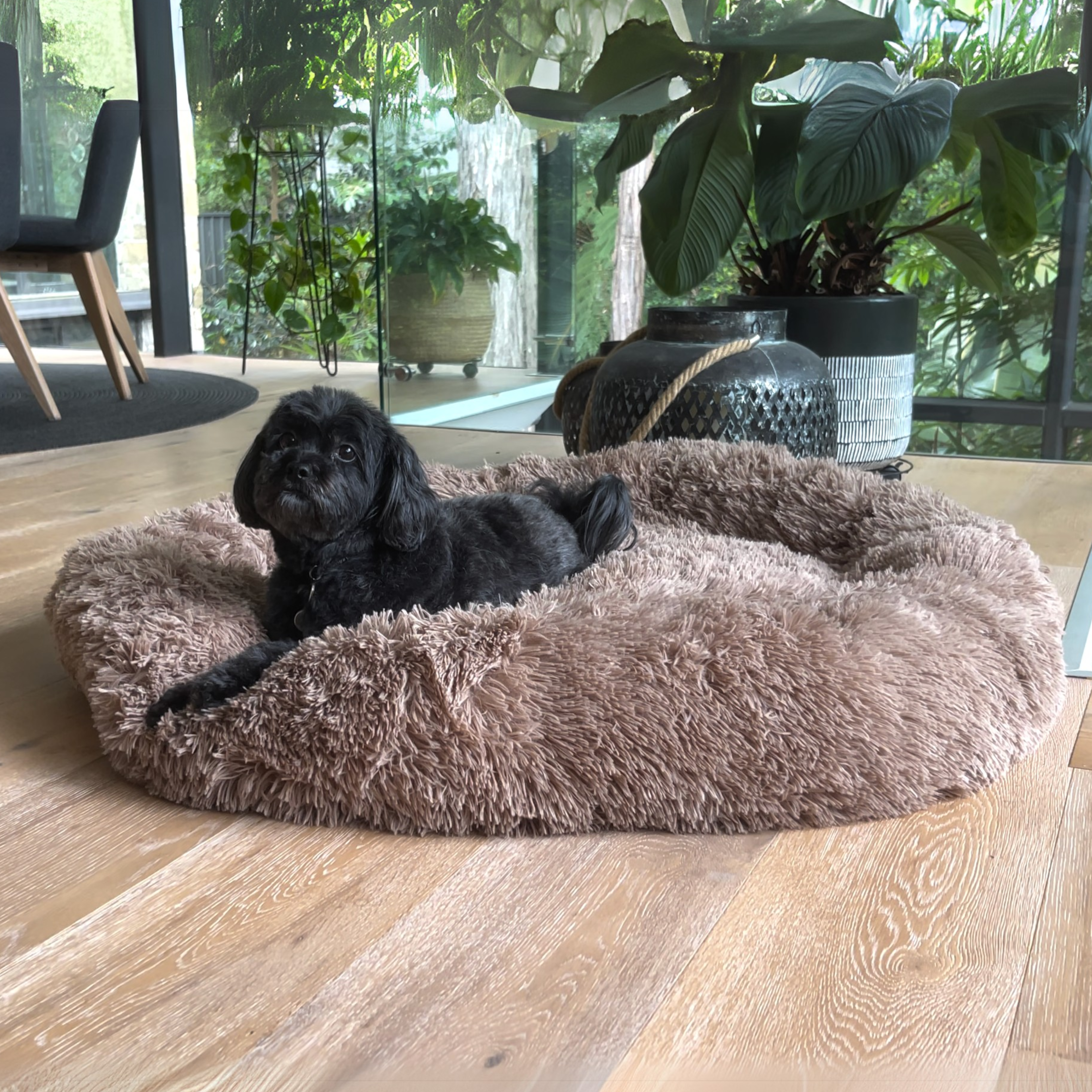 Premium Calming Dog Beds